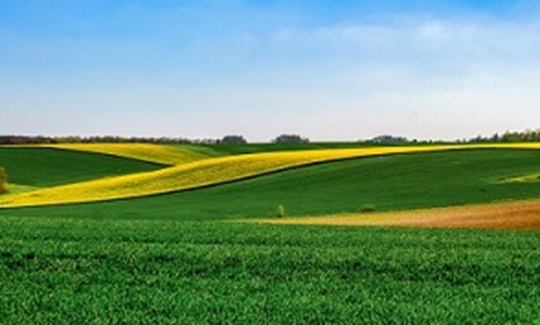 Cibo e alimentazione